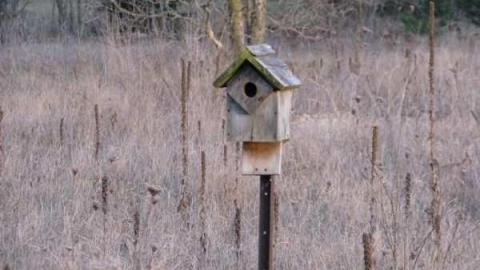 Dusk in November - Vivian-House28.jpg