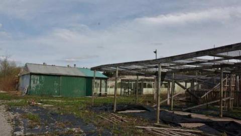 May Visit - Garden-Center19.jpg