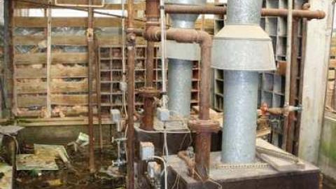 May Visit - Garden-Center5.jpg