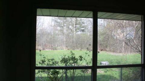 May Visit - Garden-Center27.jpg