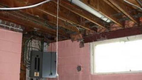 May Visit - Garden-Center28.jpg