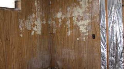 May Visit - Garden-Center14.jpg