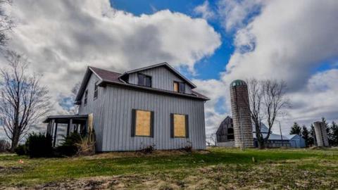 Deja Vu Stoner Plus photo 4