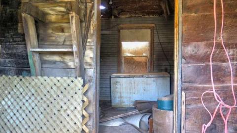 Dead On Kennedy photo 3