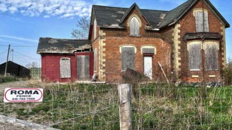 Dead On Kennedy photo 4