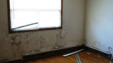 Smuckers - DSC06863.jpg