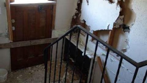 Moldosaurus Bungalow - Brampton, Ontario