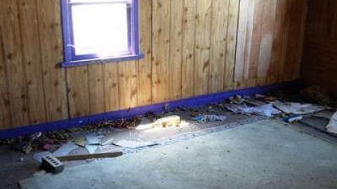 The Door Leads To Snapple photo 3