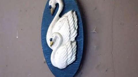 A Little Colour - DSC07247.jpg