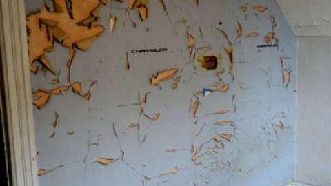 Darkened Decay - DSC07660.jpg