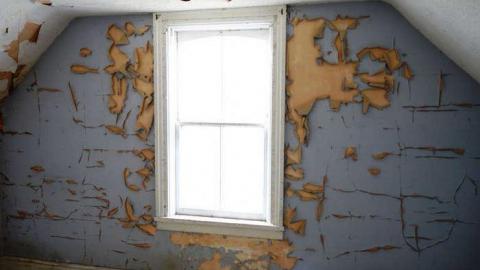 Dead On Kennedy photo 5