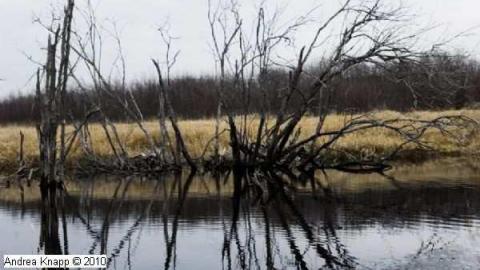 Burwash - Burwash-Correctional-Prison615.jpg