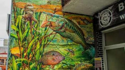 Islington Mosaic photo 5