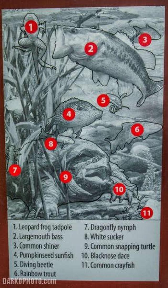 Islington Mosaic photo 4