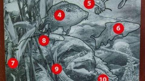 Islington Mosaic photo 4