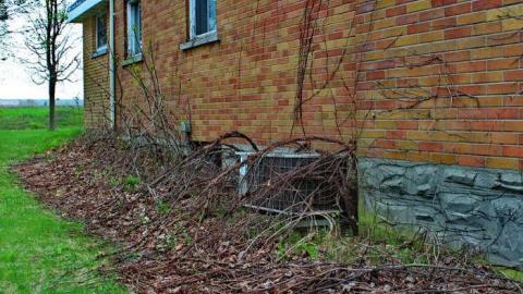 Industrial Desease - OAP add n loc Cam 082lico.jpg