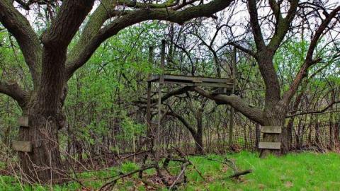 Industrial Desease - OAP add n loc Cam 083lico.jpg