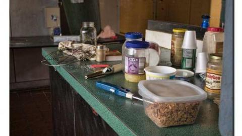 Before the Vandals.  - Camp-30-Bowmanville481.jpg