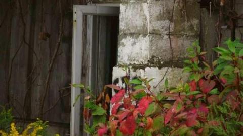 Abandoned House- Concession 2 photo 3