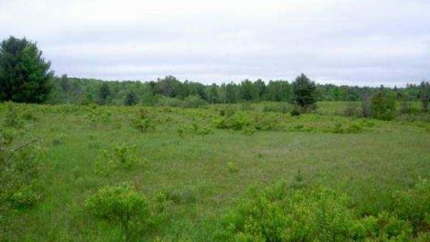 Running Ragged - Ragged-Rapids-(ghost-town)3.jpg