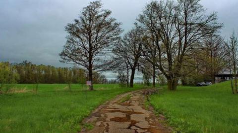 3 Acuras and an Audi - OAP YKF Y2K 005lico.jpg