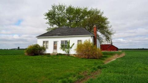 Here Comes Peter Rottentail - Dawn-Euphemia, Ontario