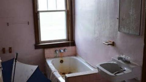 Here Comes Peter Rottentail photo 2