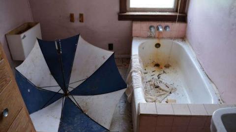 Plug Your Nose - DSC_0492.jpg