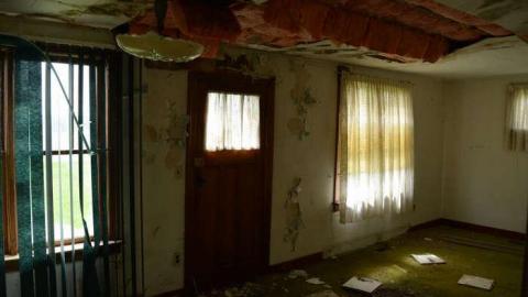 Here Comes Peter Rottentail photo 4