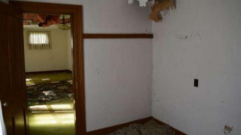 Plug Your Nose - DSC_0495.jpg