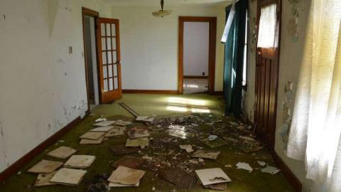 Here Comes Peter Rottentail photo 5