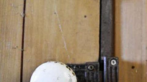 Plug Your Nose - DSC_0500.jpg