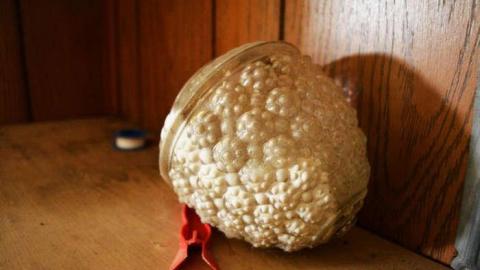 Plug Your Nose - DSC_0505.jpg