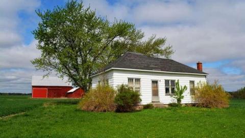 Plug Your Nose - DSC_0507.jpg