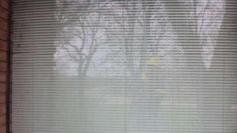 3 Acuras and an Audi - OAP YKF Y2K 016rt.jpg