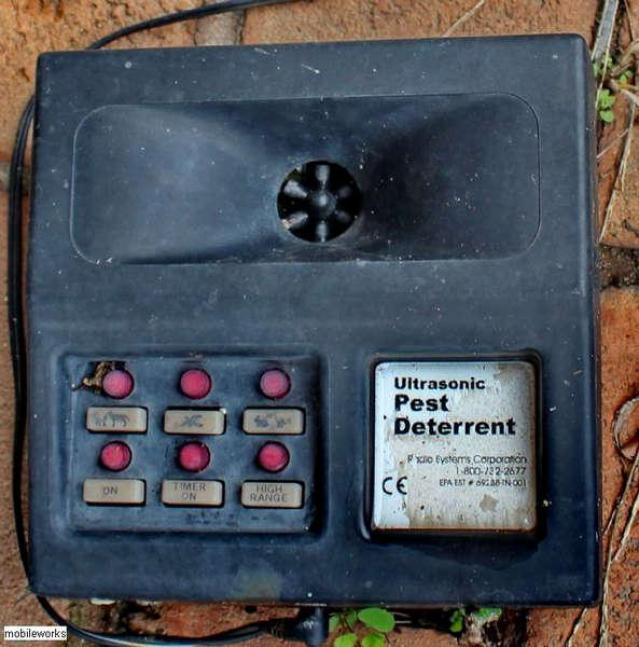 YKF Y2K - Woolwich, Ontario