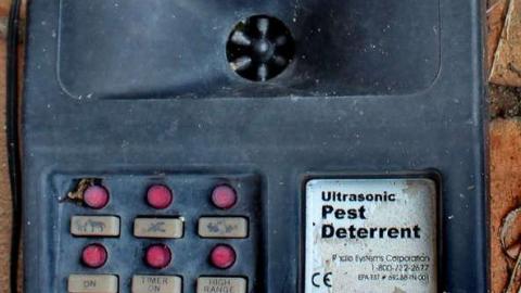 3 Acuras and an Audi - OAP YKF Y2K 021crli.jpg