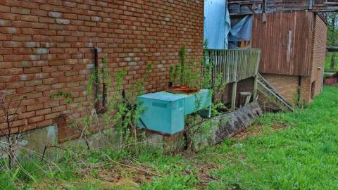 3 Acuras and an Audi - OAP YKF Y2K 025lico.jpg