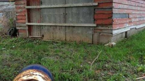 Photo from Custom Framing