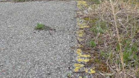 May 2014 - Ghost-Speedway49.jpg