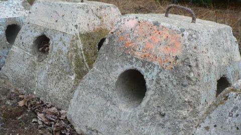 May 2014 - Ghost-Speedway46.jpg