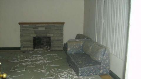 Guttings - HPIM1979.jpg