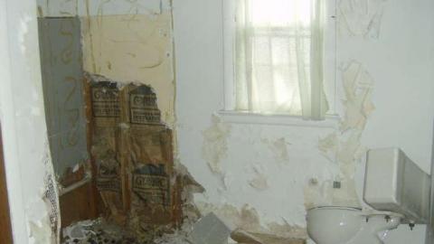 Guttings - HPIM1995.jpg