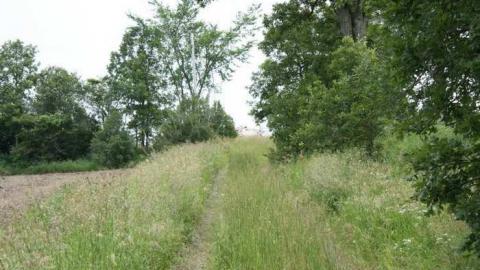 Photo from Barny's Rubble