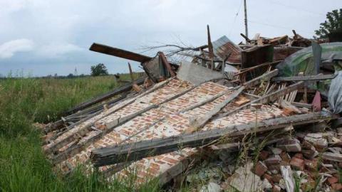Photo from Barny's Rubble