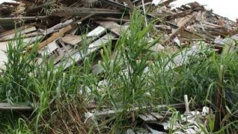 Barny's Rubble - 2663-Hwy-1462.jpg