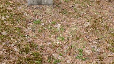 Christ Church Purbrook photo 4