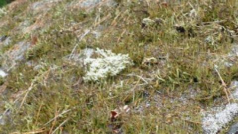 All's Well - Christ-Church-Purbrook13.jpg