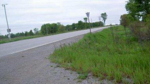 In Dartmoor Outhouse/Bus Stop - Dartmoor-(forgotten-hamlet)4.jpg