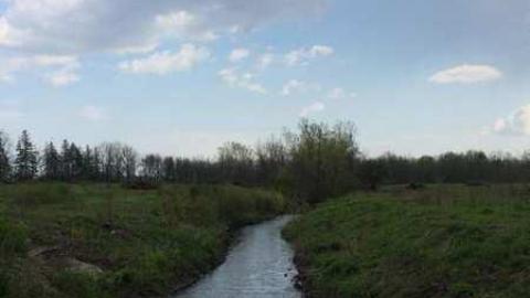 Wally World - Hole-In-One60.jpg